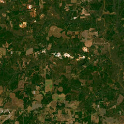 880 Highway 49, Andersonville, GA 31711 Satellite Map