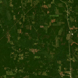 Highway 1232, Kisatchie National Forest Supervisor's Office,  Satellite Map