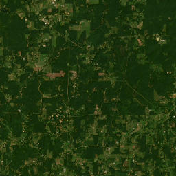 231 Cole Road South, Mendenhall, MS 39114 Satellite Map