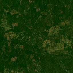 County Road 11, Minter, AL 36761, USA Satellite Map