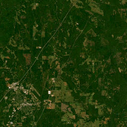 5515 Fort Dale Road, Greenville, AL 36037 Satellite Map