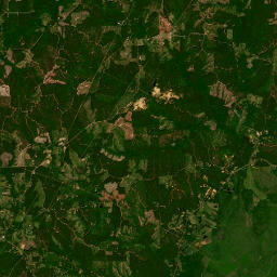 Louisiana 8, Jonesville, LA 71343, America Satellite Map