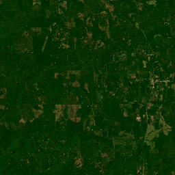 County Road 56, Beatrice, AL 36425, USA Satellite Map