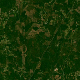 Interstate 65, Georgiana, AL 36033, USA Satellite Map