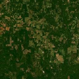 Greenville Highway, Luverne, AL 36049 Satellite Map