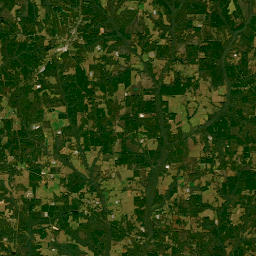 219 County Road 8, Clio, AL 36017, USA Satellite Map