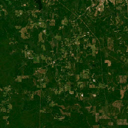 752-760 Ceamon Pittman Road, Waynesboro Satellite Map