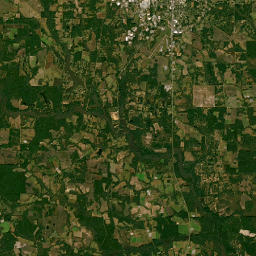 36-368 Bethel Road, Douglas, GA 31535 Satellite Map