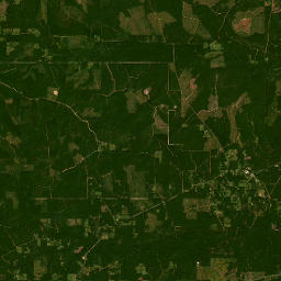 6098 Alexandria Highway, Leesville, LA Satellite Map