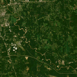 223 Luther Carter Rd Petal MS 39465 Satellite Map