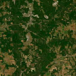 892 Lee Boy Road, Newton, AL 36352 Satellite Map