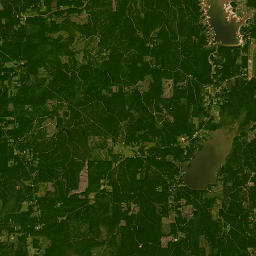 Nolan Trace Parkway, Leesville, LA 71446 Satellite Map