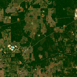 821 Freemanville Drive, Atmore, AL 36502 Satellite Map