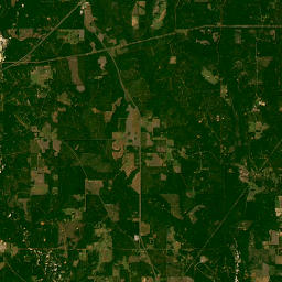 Alabama 113, Brewton, AL 36426, USA Satellite Map