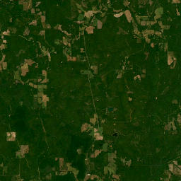 Highway 137, Conecuh National Forest, Andalusia Satellite Map