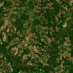 Main Street, Bellwood, AL 36313, USA Satellite Map