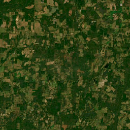 1581 County Road 177, Bonifay, FL 32425 Satellite Map