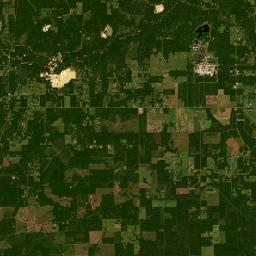 Ronald Reagan Highway, DeRidder, LA Satellite Map