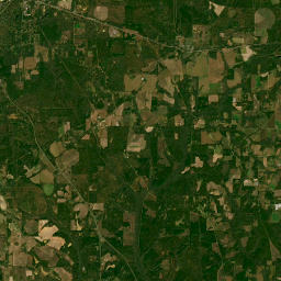 3007 Lake Douglas Road, Bainbridge, GA Satellite Map