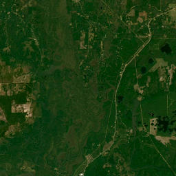 4537-4553 Millers Ferry Road, Vernon, FL Satellite Map