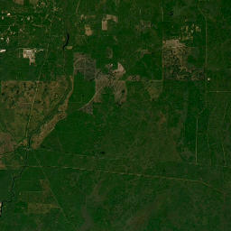State Highway 59, Monticello, FL 32344 Satellite Map