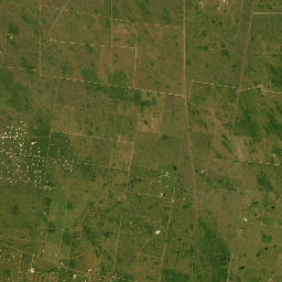 Farm to Market 1017, Edinburg, TX Satellite Map