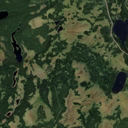 Primorskiy Rayon Satellite Map