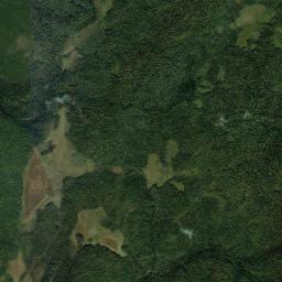 Leshukonskiy Rayon Satellite Map