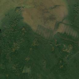 Kargopol’skiy Rayon Satellite Map