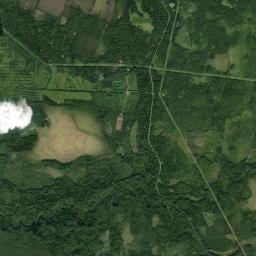Lodeynopol’skiy Rayon Satellite Map