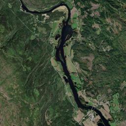 Rollag Satellite Map