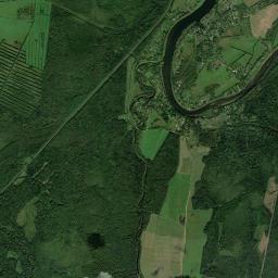 Kolchanovo Satellite Map