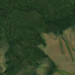 Syamzhenskiy Rayon Satellite Map