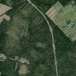 Tosnenskiy Rayon Satellite Map
