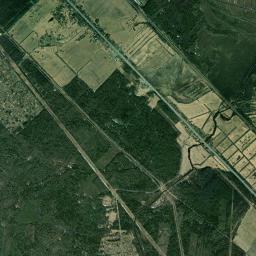 Ryabovo Satellite Map