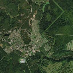 Budogoshch’ Satellite Map