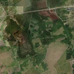 Tapa vald Satellite Map