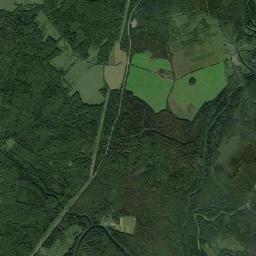 Soligalichskiy Rayon Satellite Map