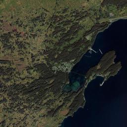 Port Lions Alaska map(satellite map)