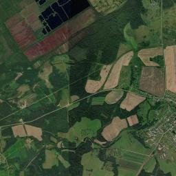 Bol’shoye Selo Satellite Map