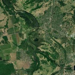 Dedovichi Satellite Map