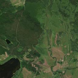 Novorzhevskiy Rayon Satellite Map