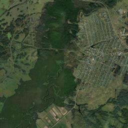 Bakchar Satellite Map