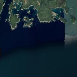 Tyee Alaska map(satellite map)