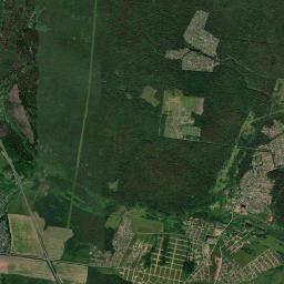 Zav’yalovskiy Rayon Satellite Map