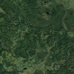 Toropetskiy Rayon Satellite Map