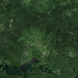 Pustoshkinskiy Rayon Satellite Map