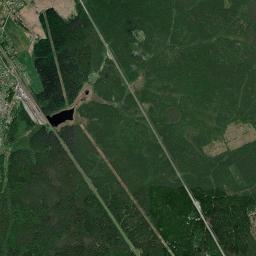 Reshetnikovo Satellite Map