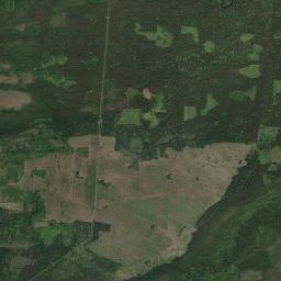 Nizhneingashskiy Rayon Satellite Map