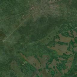 Suslovo Satellite Map